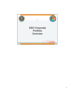 SSO Corporate Portfolio Overview