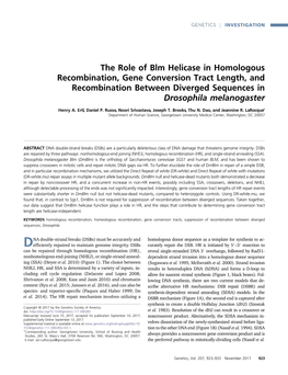 The Role of Blm Helicase in Homologous Recombination, Gene Conversion Tract Length, and Recombination Between Diverged Sequences in Drosophila Melanogaster