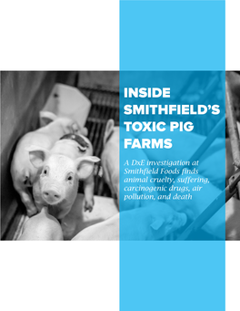 Inside Smithfield's Toxic Pig Farms
