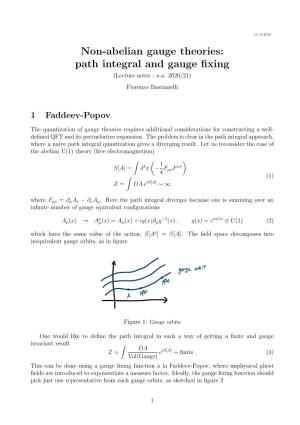 Path Integral and Gauge Fixing