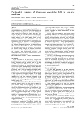 Physiological Responses of Cnidoscolus Quercifolius Pohl in Semi-Arid Conditions