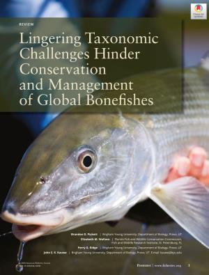 Lingering Taxonomic Challenges Hinder Conservation and Management of Global Bonefishes