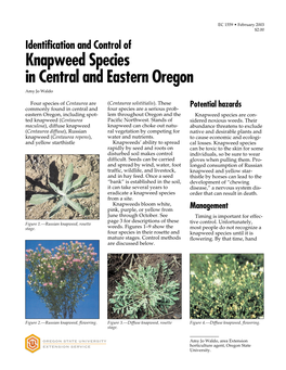 Identification and Control of Knapweed Species in Central and Eastern Oregon Amy Jo Waldo Four Species of Centaurea Are (Centaurea Solstitialis)