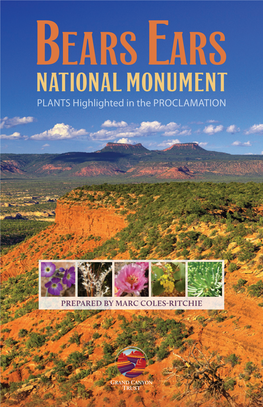 Bears Ears NATIONAL MONUMENT PLANTS Highlighted in the PROCLAMATION