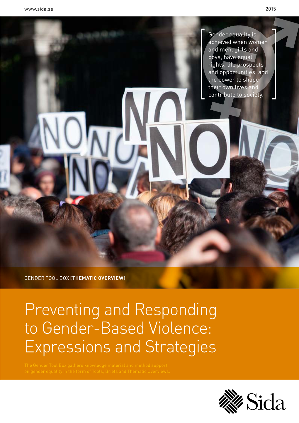 Preventing And Responding To Gender-Based Violence: Expressions And ...