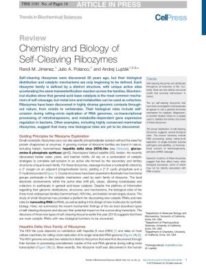 Review Chemistry and Biology of Self-Cleaving Ribozymes Randi M