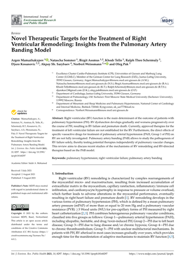 Insights from the Pulmonary Artery Banding Model