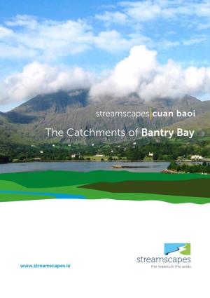 The Catchments of Bantry Bay