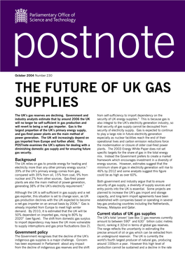 The Future of Uk Gas Supplies