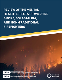 Review of the Mental Health Effects of Wildfire Smoke, Solastalgia, and Non-Traditional Firefighters
