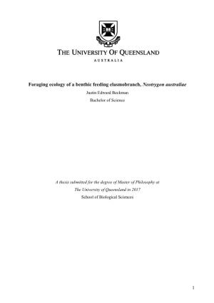Foraging Ecology of a Benthic Feeding Elasmobranch, Neotrygon Australiae Justin Edward Beckman Bachelor of Science