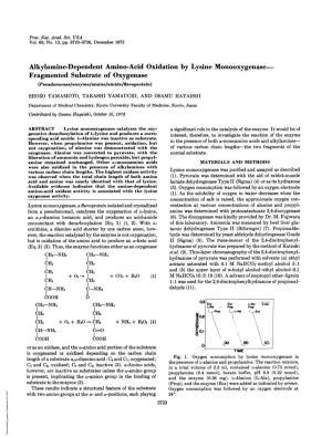 From a Pseudomonad, Catalyzes the Oxygenation of L-Lysi an A,E