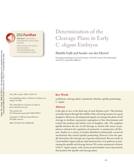 Determination of the Cleavage Plane in Early C. Elegans Embryos