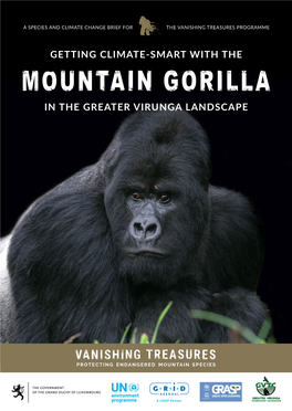 Getting Climate-Smart with the Mountain Gorilla in the Greater Virunga Landscape: a Species and Climate Change Brief for the Vanishing Treasures Programme