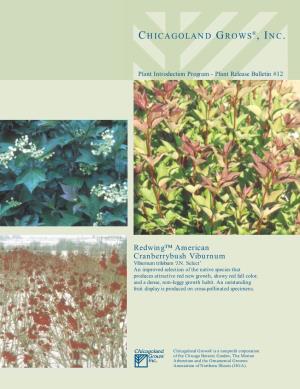 Redwing™ American Cranberrybush Viburnum Viburnum Trilobum ‘J.N