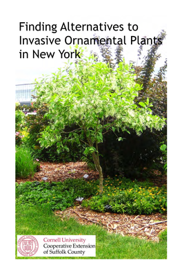 Finding Alternatives to Invasive Ornamental Plants in New York Finding Alternatives to Invasive Ornamental Plants in New York