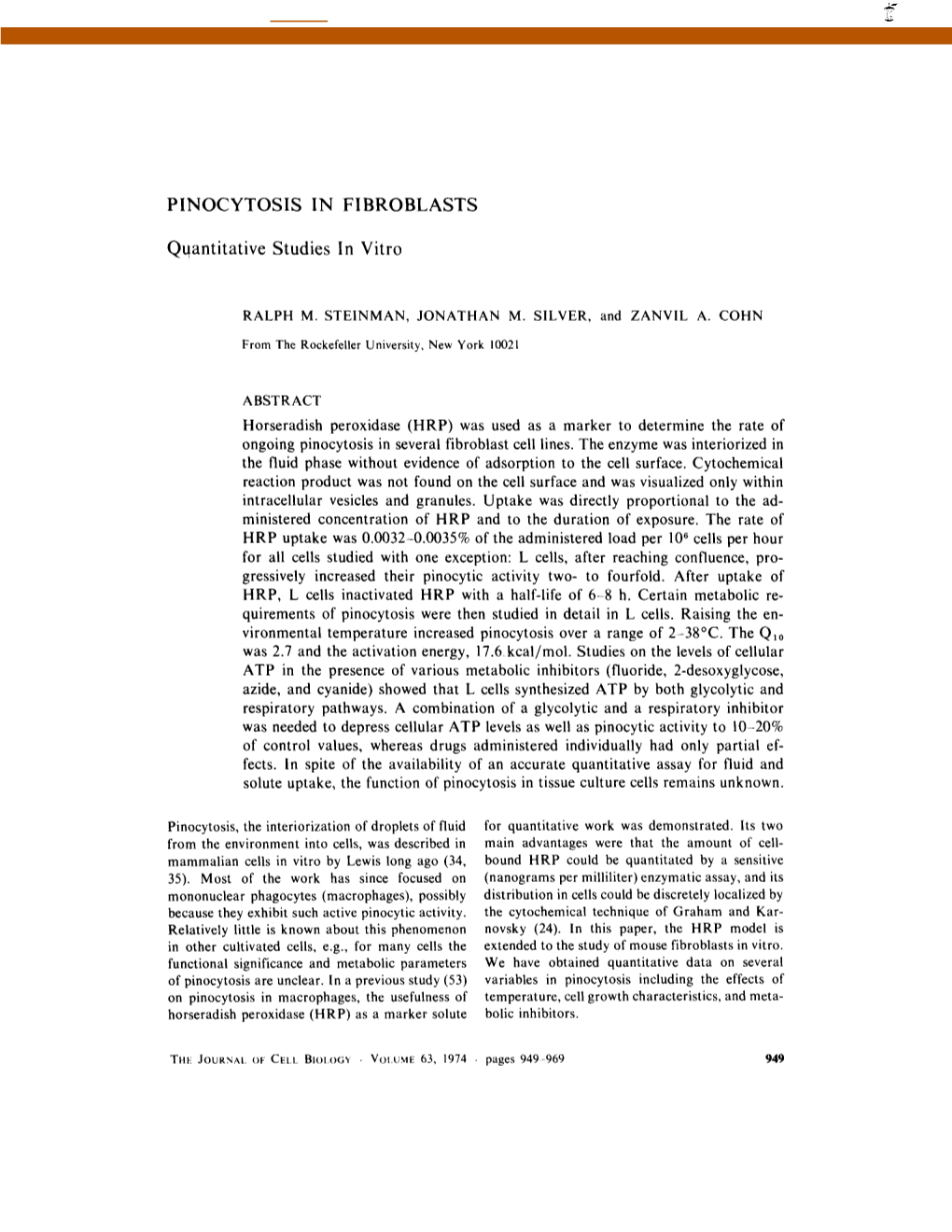 PINOCYTOSIS in FIBROBLASTS Quantitative Studies in Vitro