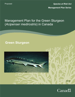 Management Plan for the Green Sturgeon (Acipenser Medirostris) in Canada