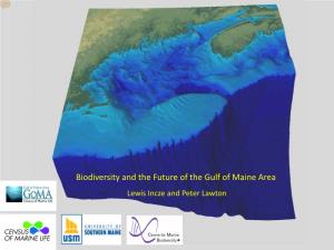 Biodiversity and the Future of the Gulf of Maine Area Lewis Incze and Peter Lawton Genes
