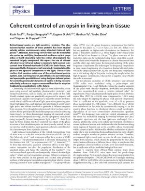 Coherent Control of an Opsin in Living Brain Tissue