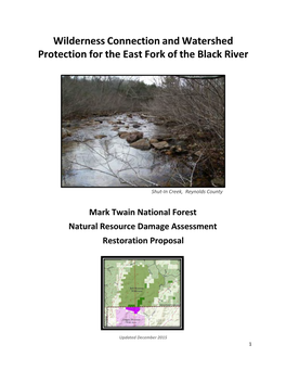 Wilderness Connection and Watershed Protection for the East Fork of the Black River