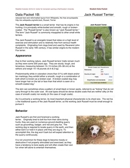 Jack Russel Terrier Reduced Text and Reformatted Layout from Wikipedia, the Free Encyclopedia