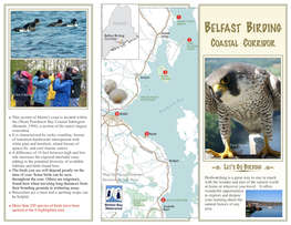 Birding the Coastal Corridor