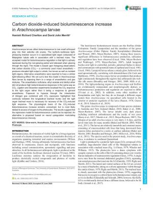 Carbon Dioxide-Induced Bioluminescence Increase in Arachnocampa Larvae Hamish Richard Charlton and David John Merritt*