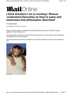 (A Monkey): Rhesus 'Understand Descartes As They've Same Self- Awareness That Philosopher Described'