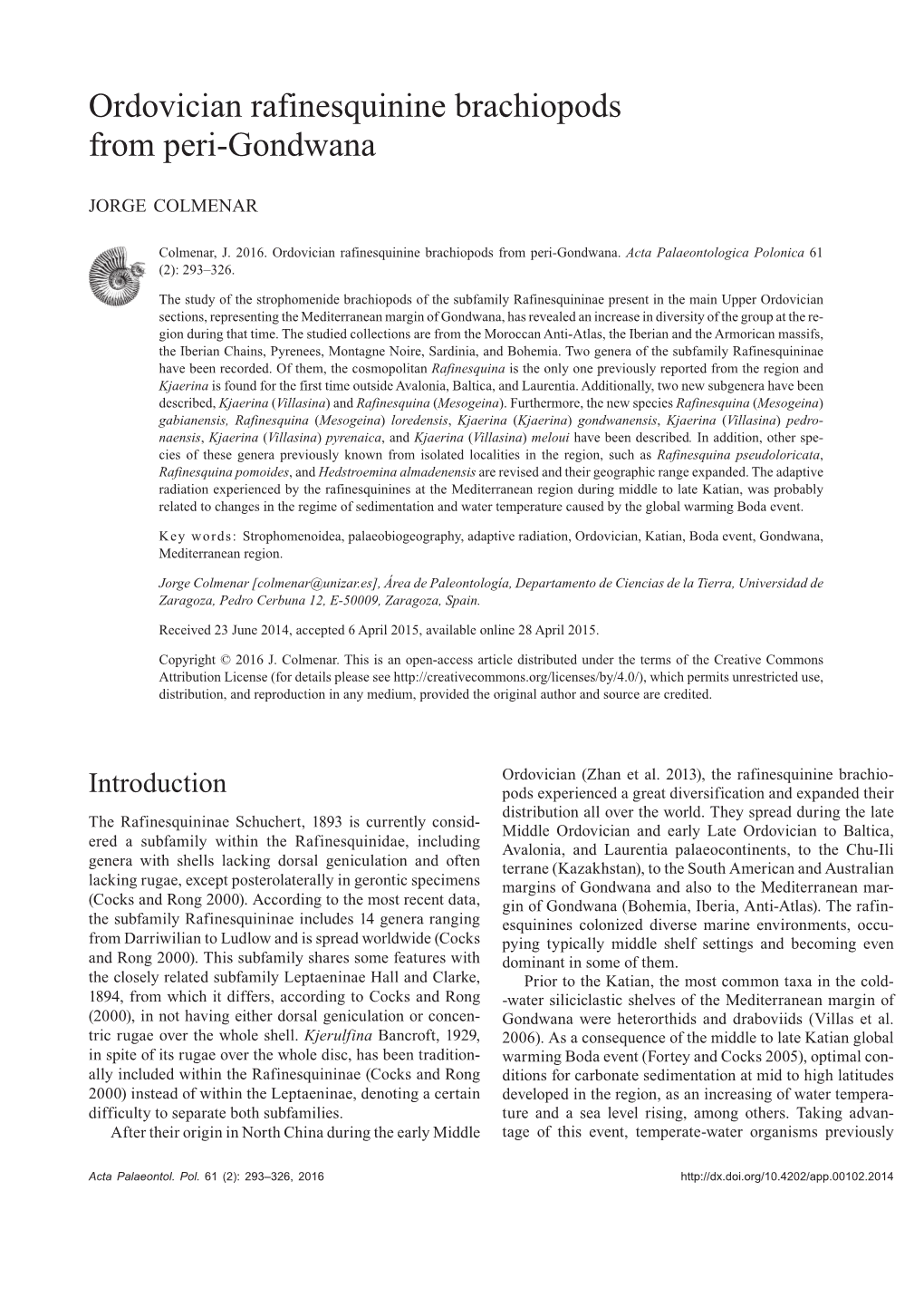 Ordovician Rafinesquinine Brachiopods from Peri-Gondwana