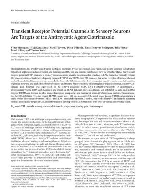 Transient Receptor Potential Channels in Sensory Neurons Are Targets of the Antimycotic Agent Clotrimazole