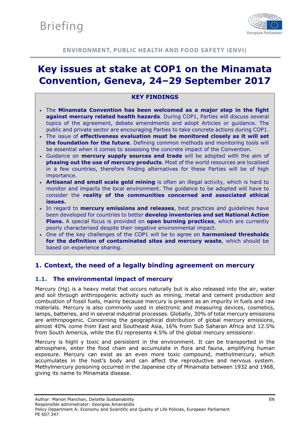 Key Issues at Stake at COP1 on the Minamata Convention, Geneva, 24–29 September 2017