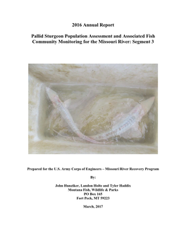Pallid Sturgeon Population Assessment and Associated Fish Community Monitoring for the Missouri River: Segment 3