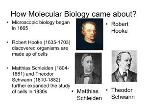 How Molecular Biology Came About? • Microscopic Biology Began • Robert in 1665 Hooke