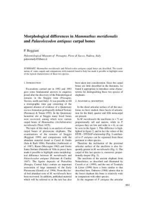 Morphological Differences in Mammuthus Meridionalis and Palaeoloxodon Antiquus Carpal Bones