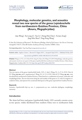 Morphology, Molecular Genetics, and Acoustics Reveal Two New Species of the Genus Leptobrachella from Northwestern Guizhou Province, China (Anura, Megophryidae)