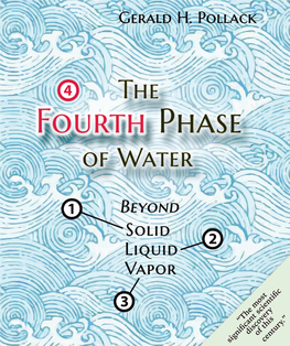 The Fourth Phase of Water Beyond Solid, Liquid, and Vapor