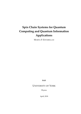 Spin Chain Systems for Quantum Computing and Quantum Information Applications