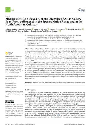 Microsatellite Loci Reveal Genetic Diversity of Asian Callery Pear (Pyrus Calleryana) in the Species Native Range and in the North American Cultivars