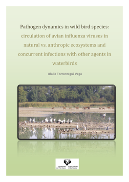 Pathogen Dynamics in Wild Bird Species: Circulation of Avian Influenza Viruses in Natural Vs