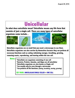 Unicellular So What Does Unicellular Mean? Unicellular Means Any Life Form That Consists of Just a Single Cell