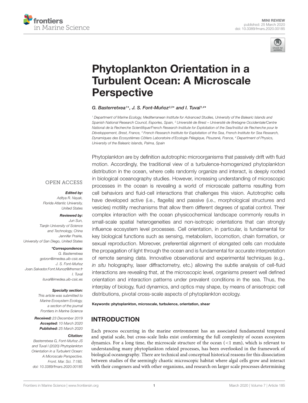 Phytoplankton Orientation in a Turbulent Ocean: a Microscale Perspective