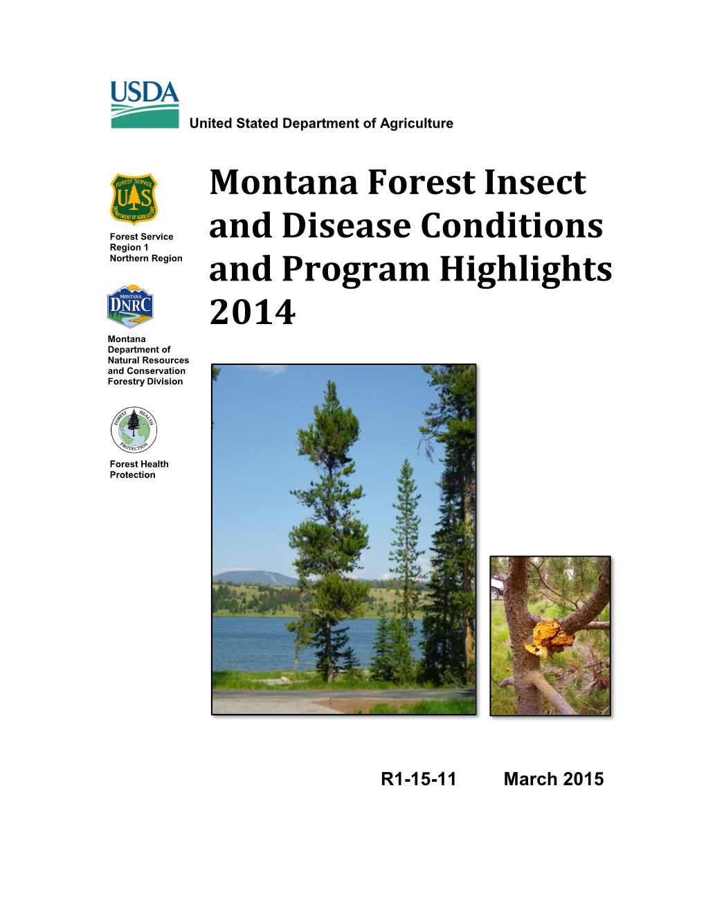 Montana Forest Insect and Disease Conditions and Program Highlights – 2013