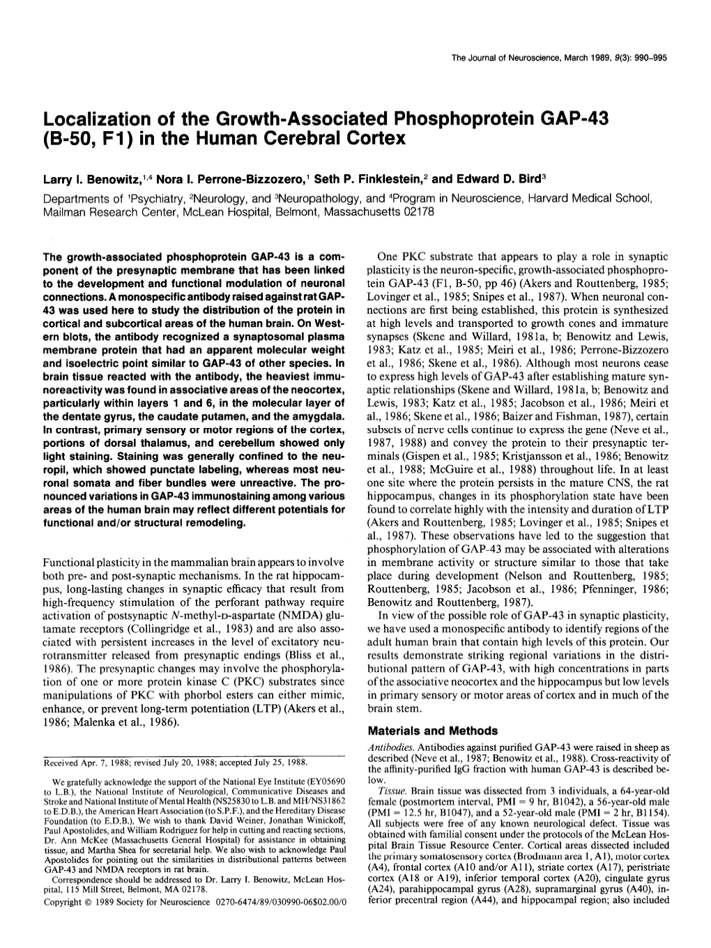 Localization of the Growth-Associated Phosphoprotein GAP-43 (B-50, Fl) in the Human Cerebral Cortex