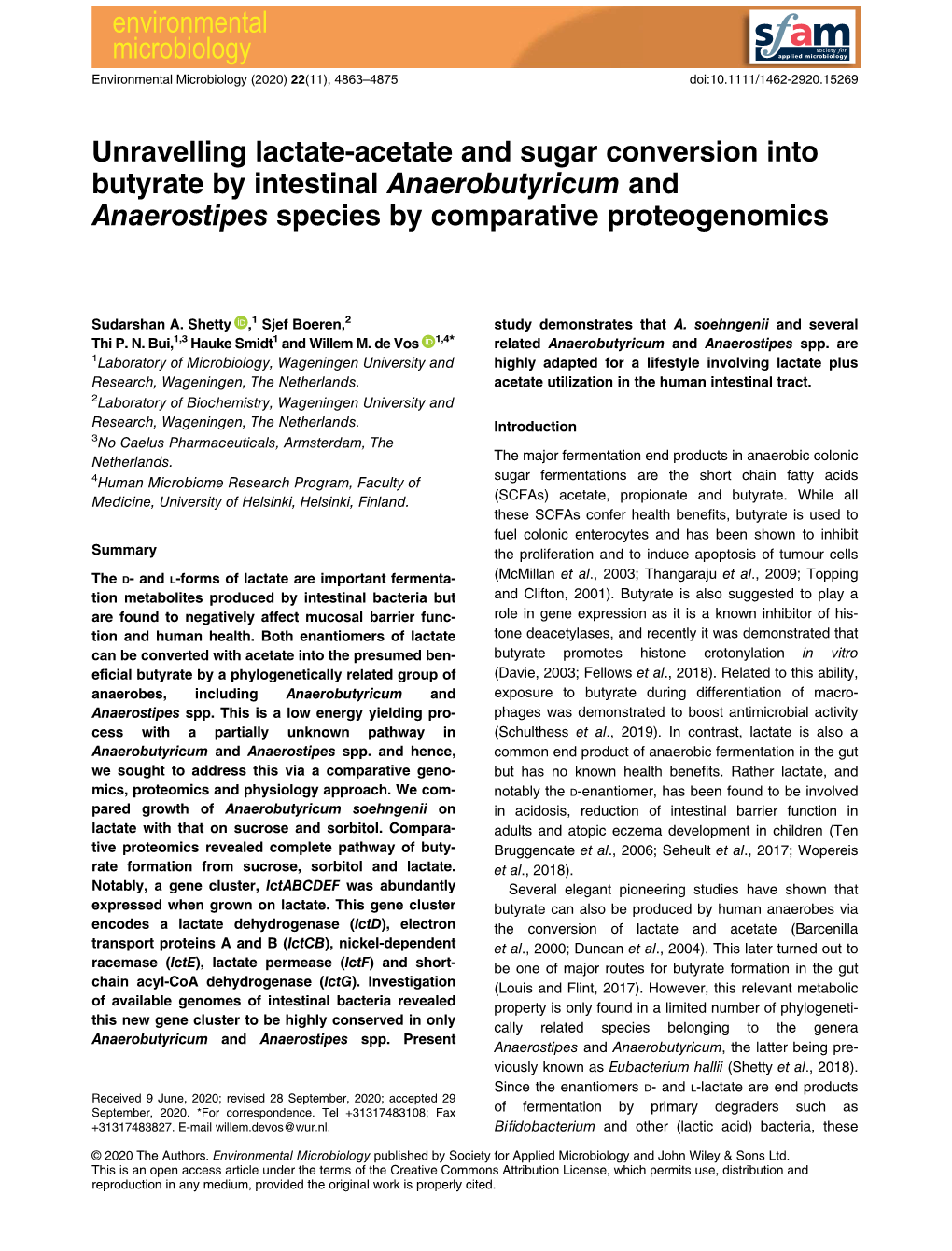 Unravelling Lactate‐Acetate and Sugar Conversion Into Butyrate By