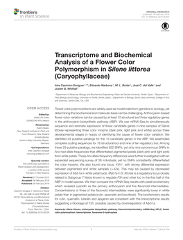 Transcriptome and Biochemical Analysis of a Flower Color Polymorphism in Silene Littorea (Caryophyllaceae)