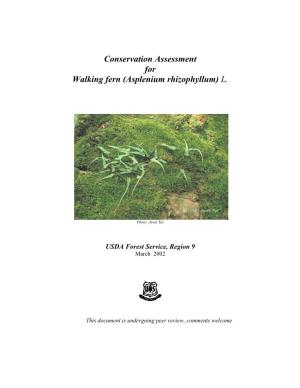 Conservation Assessment for Walking Fern (Asplenium Rhizophyllum) L