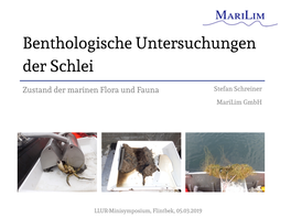 Benthologische Untersuchungen Der Schlei