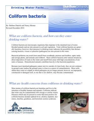 Drinking Water Fact Sheet: Coliform Bacteria