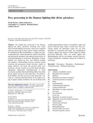 Prey Processing in the Siamese Fighting Fish (Betta Splendens)